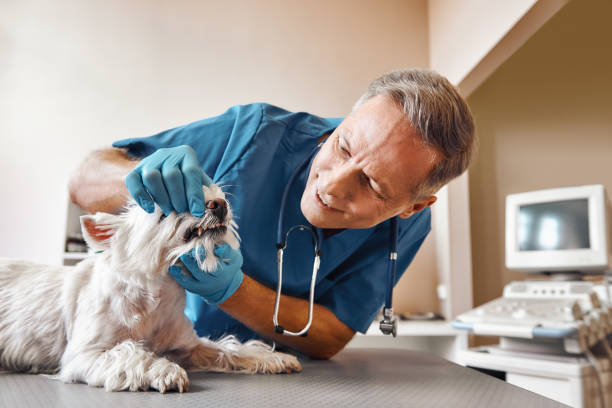 Best Emergency Broken Tooth Repair in Haskell, TX