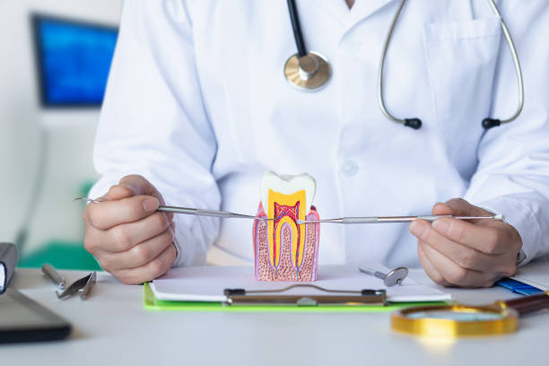 Best After-Hours Emergency Dentist in Haskell, TX